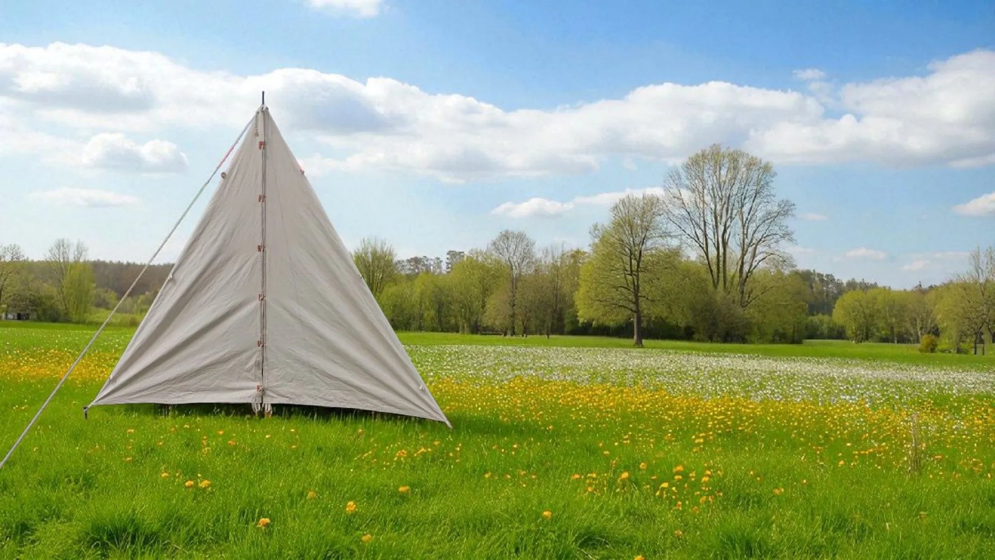 Triangular tent in a grassy field with trees and blue sky