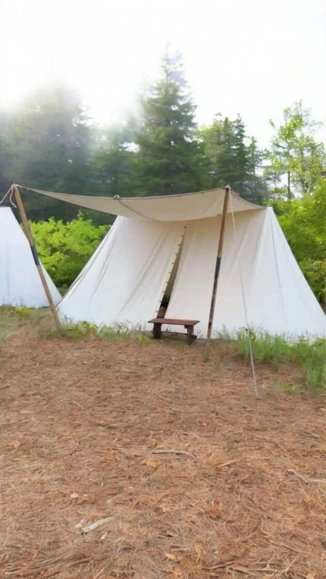 White canvas tent with a wooden bench in a forest setting