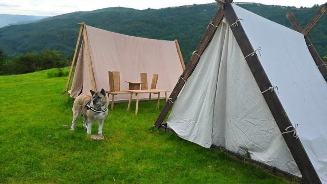 Dog standing in front of a tent and outdoor furniture set on a grassy field with mountains in the background.