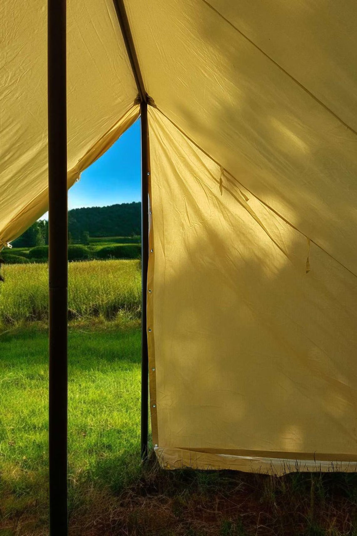 Yellow tent with a view of a green field and trees