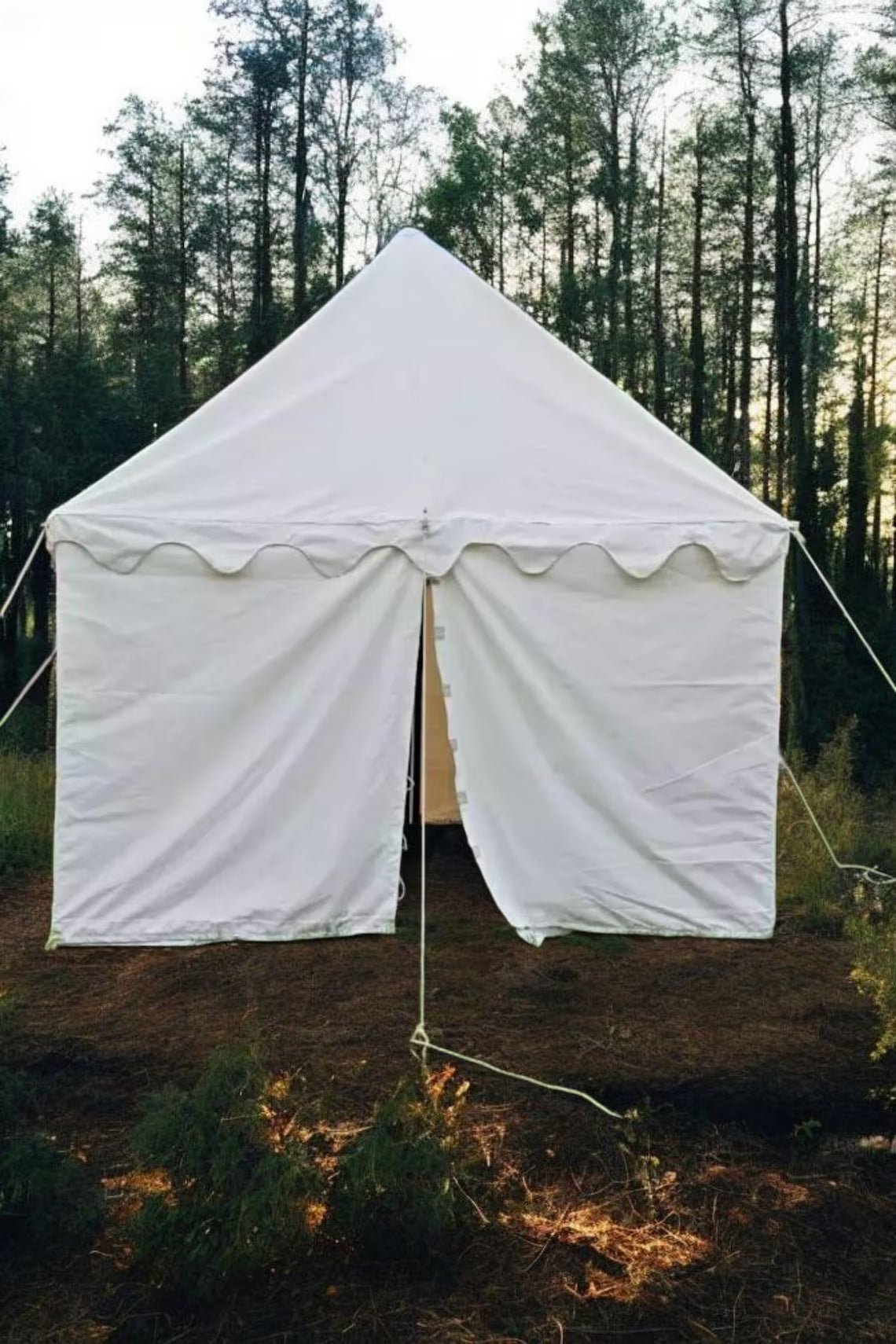 White tent set up in a forested area