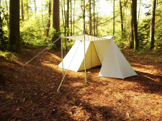 White tent set up in a forest with sunlight filtering through the trees.