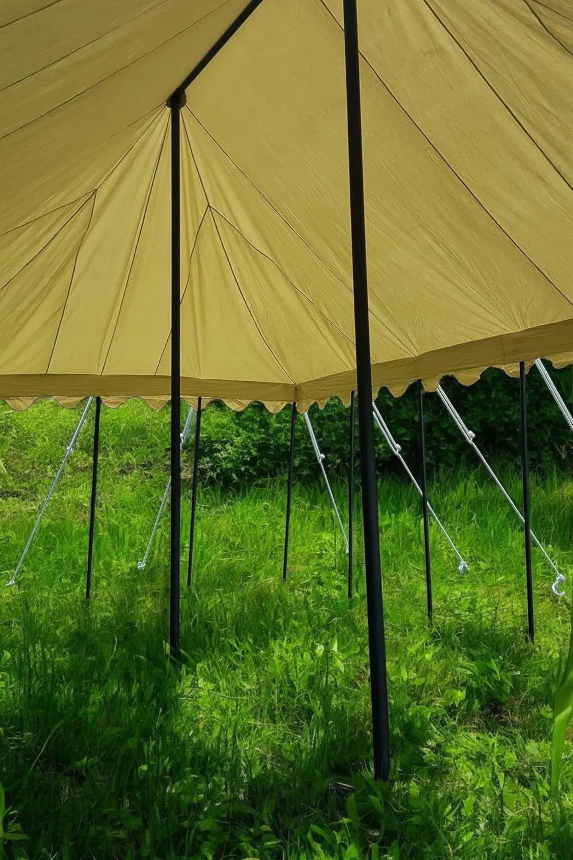 Beige tent with black poles on a grassy field