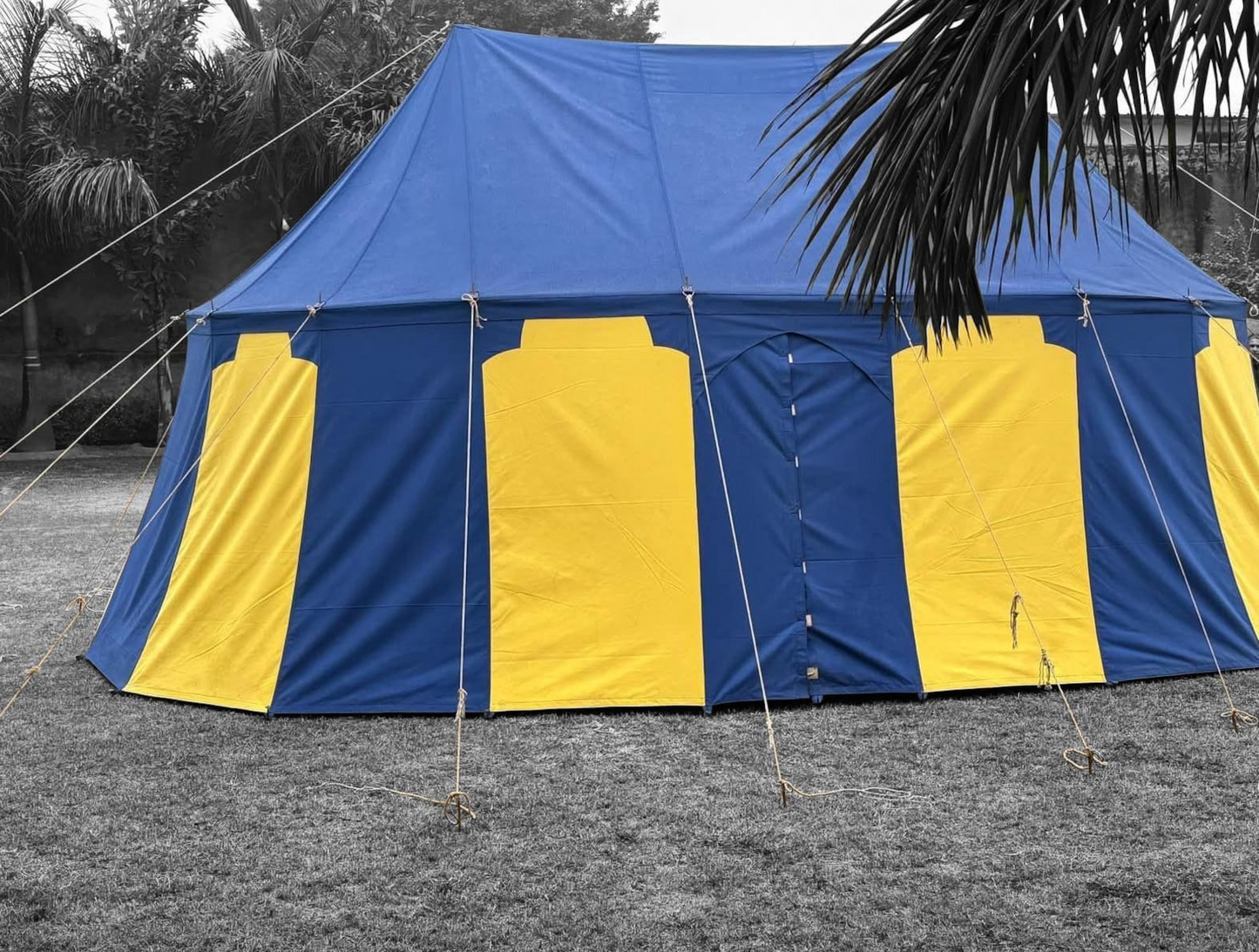 Blue and yellow tent set up outdoors with trees in the background