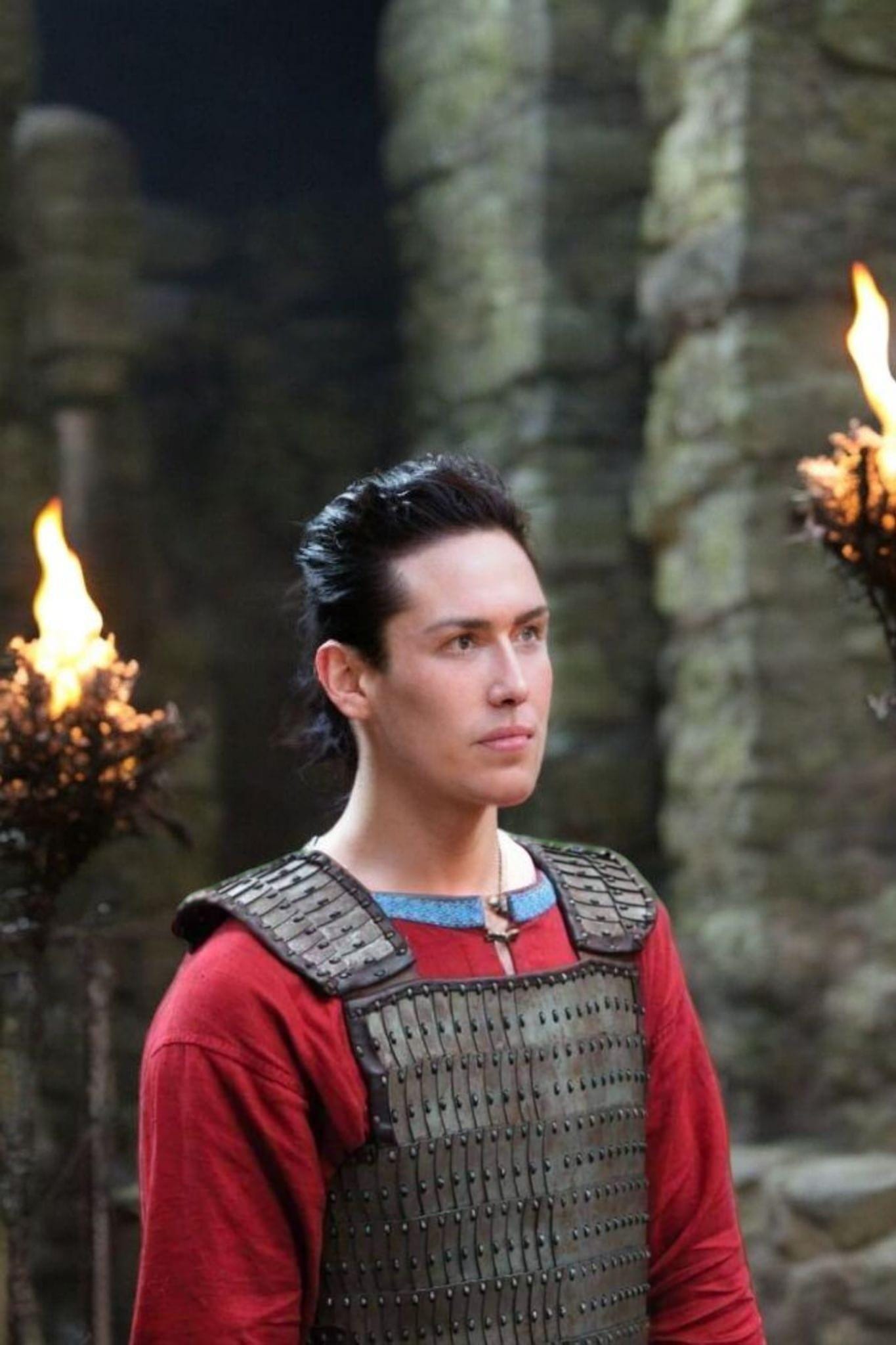 Lamellar Armour, D plate Medieval armour for Reenactment