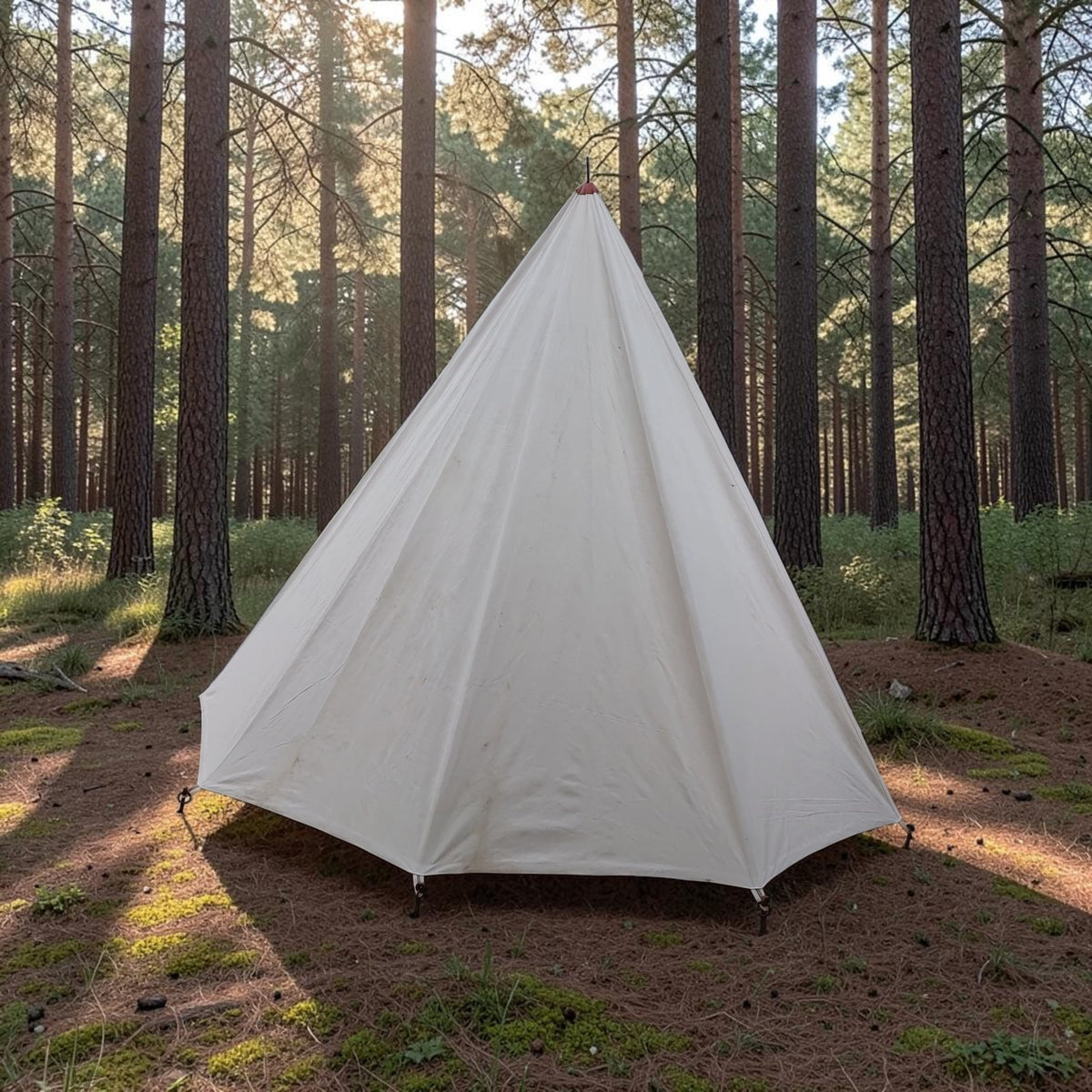 Medieval Tent, Cone Reenactment Tent